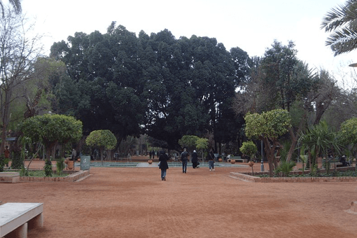 Cyber Parc Arsat Moulay Abdessalam3